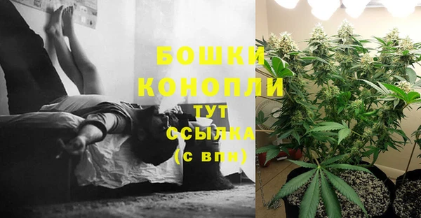 ПСИЛОЦИБИНОВЫЕ ГРИБЫ Гусиноозёрск