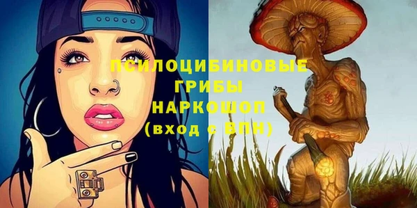 ПСИЛОЦИБИНОВЫЕ ГРИБЫ Гусиноозёрск