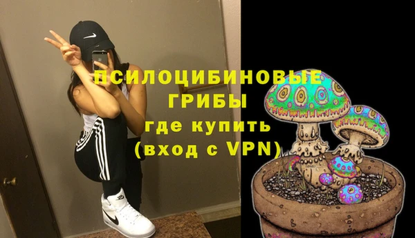 крисы Гусь-Хрустальный