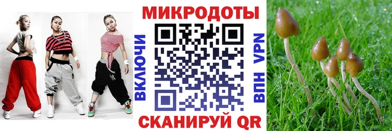 Купить  Приморско-Ахтарск  Псилоцибиновые грибы MAGIC MUSHROOMS 